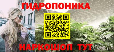 прущие грибы Балахна