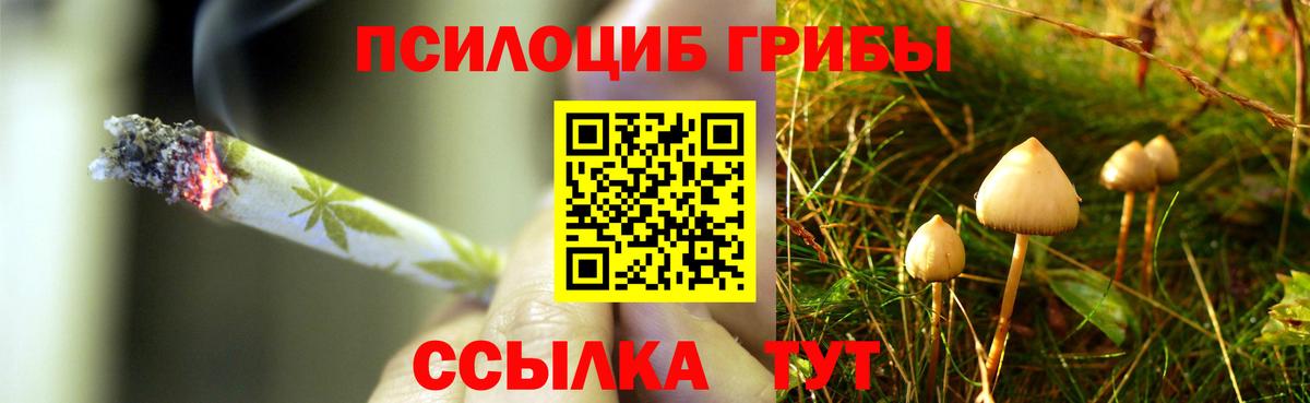 Псилоцибиновые грибы GOLDEN TEACHER  Вход с VPN  Гагарин 